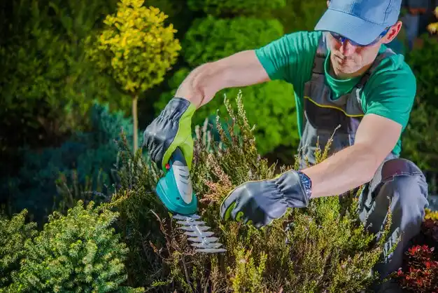 landscaping services Green City